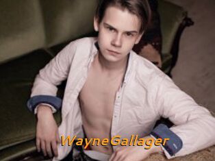WayneGallager