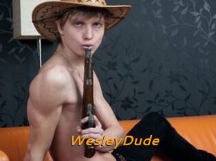 WesleyDude