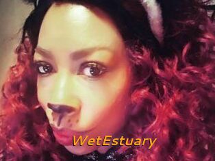 WetEstuary