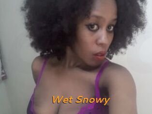 Wet_Snowy