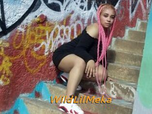 WildLilMeka
