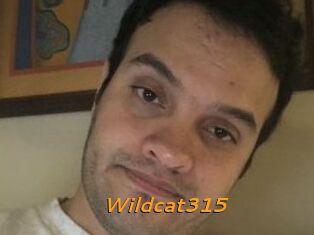 Wildcat315