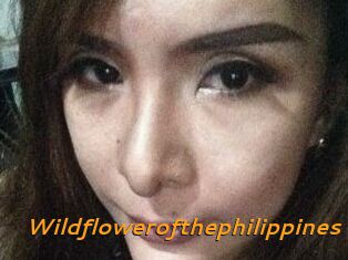 Wildflowerofthephilippines