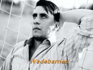 Wadebarnes