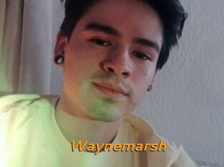 Waynemarsh
