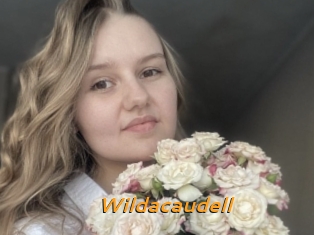 Wildacaudell