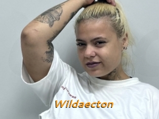 Wildaecton