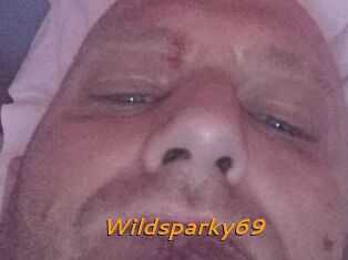 Wildsparky69