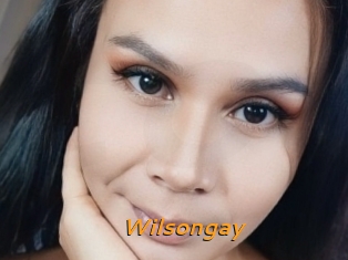 Wilsongay