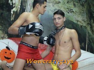 Wowcrazygays