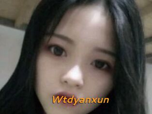 Wtdyanxun