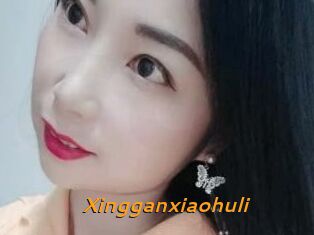 Xingganxiaohuli