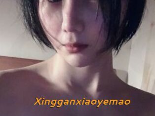 Xingganxiaoyemao