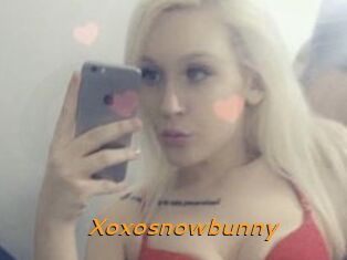 Xoxosnowbunny