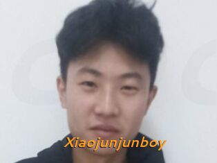 Xiaojunjunboy