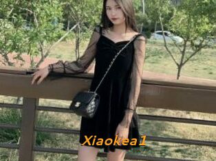 Xiaokea1