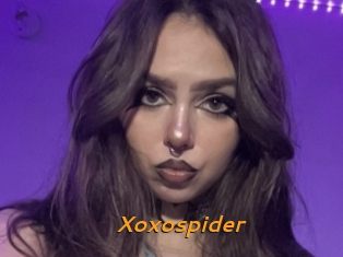 Xoxospider