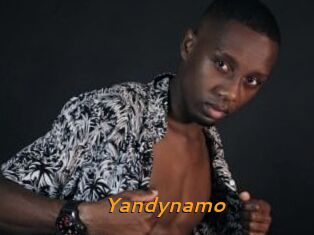Yandynamo