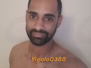 Yigolo0388