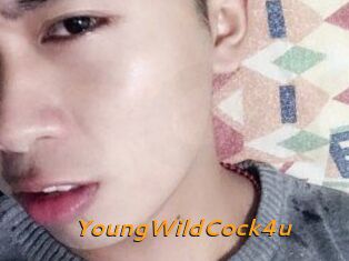 YoungWildCock4u