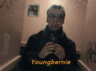 Youngbernie