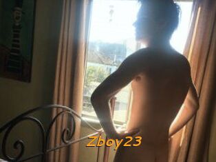 Zboy23