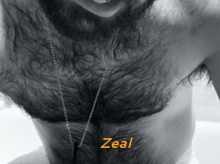 Zeal