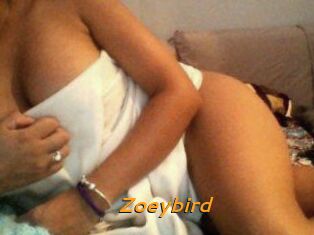 Zoeybird