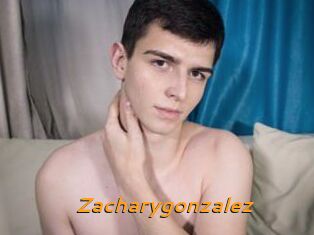 Zacharygonzalez