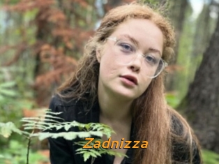 Zadnizza