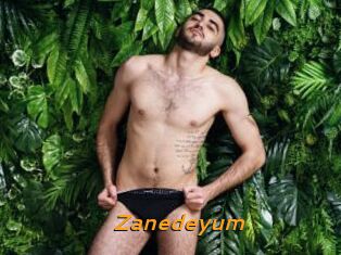 Zanedeyum